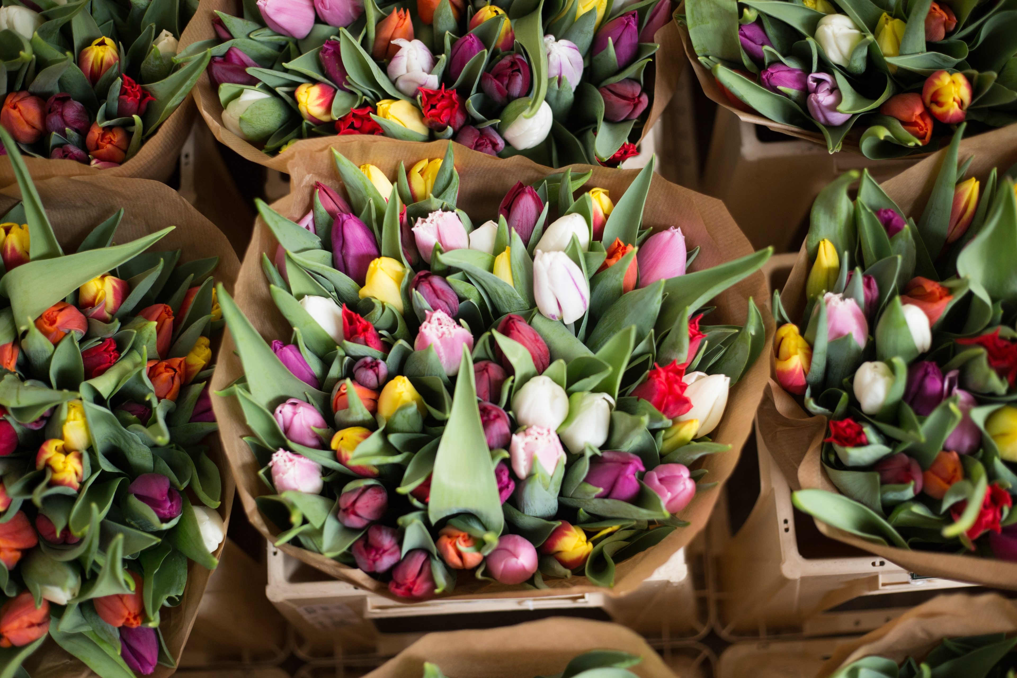 fresh flowers from farmer market